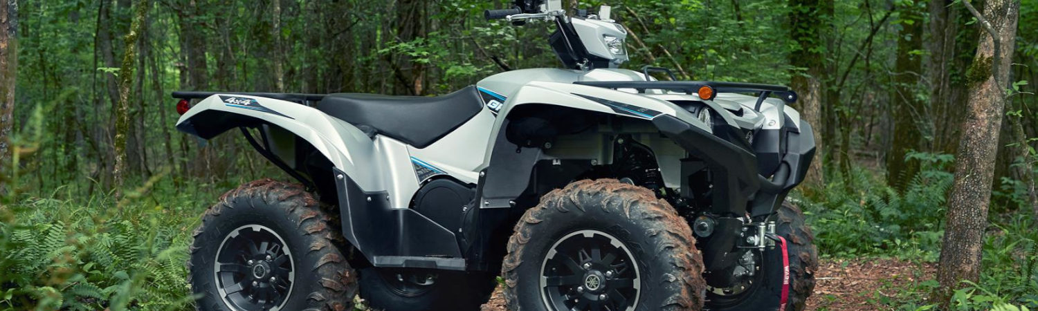 2020 Yamaha Grizzly 700 for sale in Mountain Motorsports - Sevierville, Kodak, Tennessee